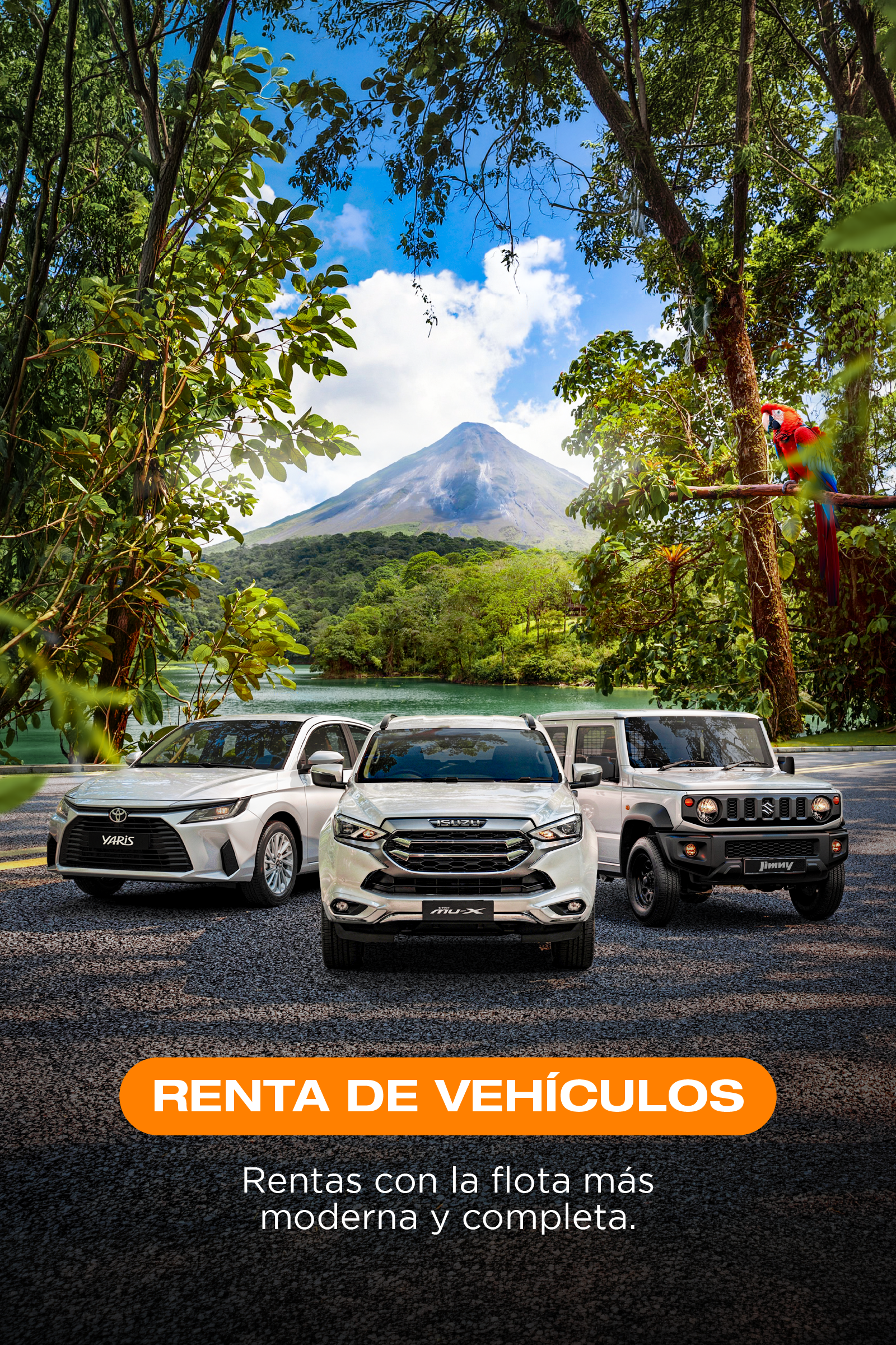 Servicio 1